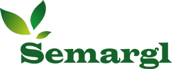 ООО Семаргл