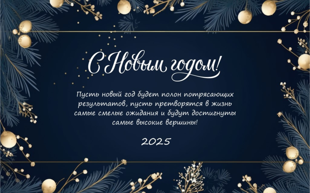 С Новым 2025 годом!.jpg